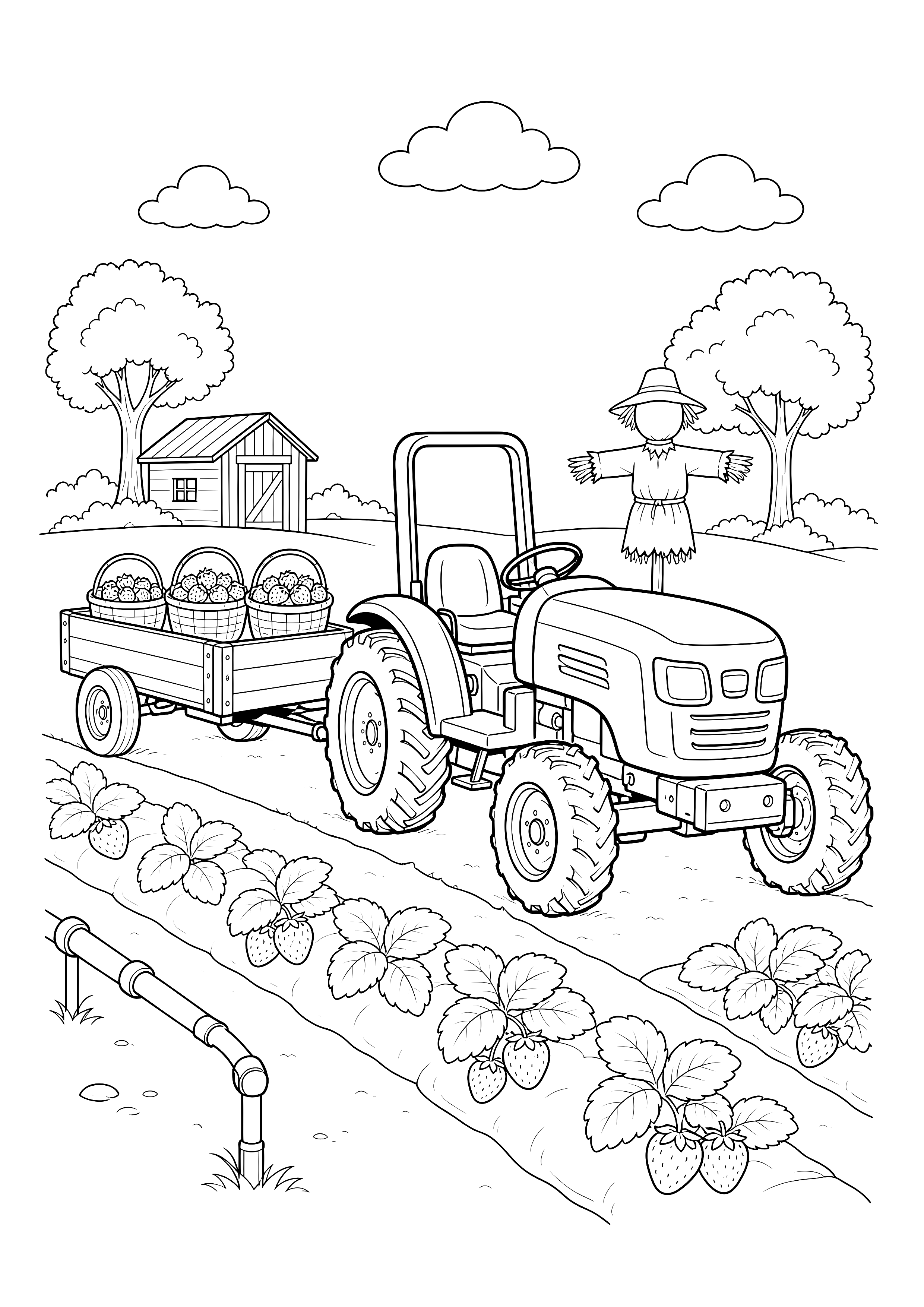 Traktor bei der Erdbeerernte — Ein kleiner Traktor zieht Körbe voller Erdbeeren an Beet, Bewässerung und Vogelscheuche vorbei.