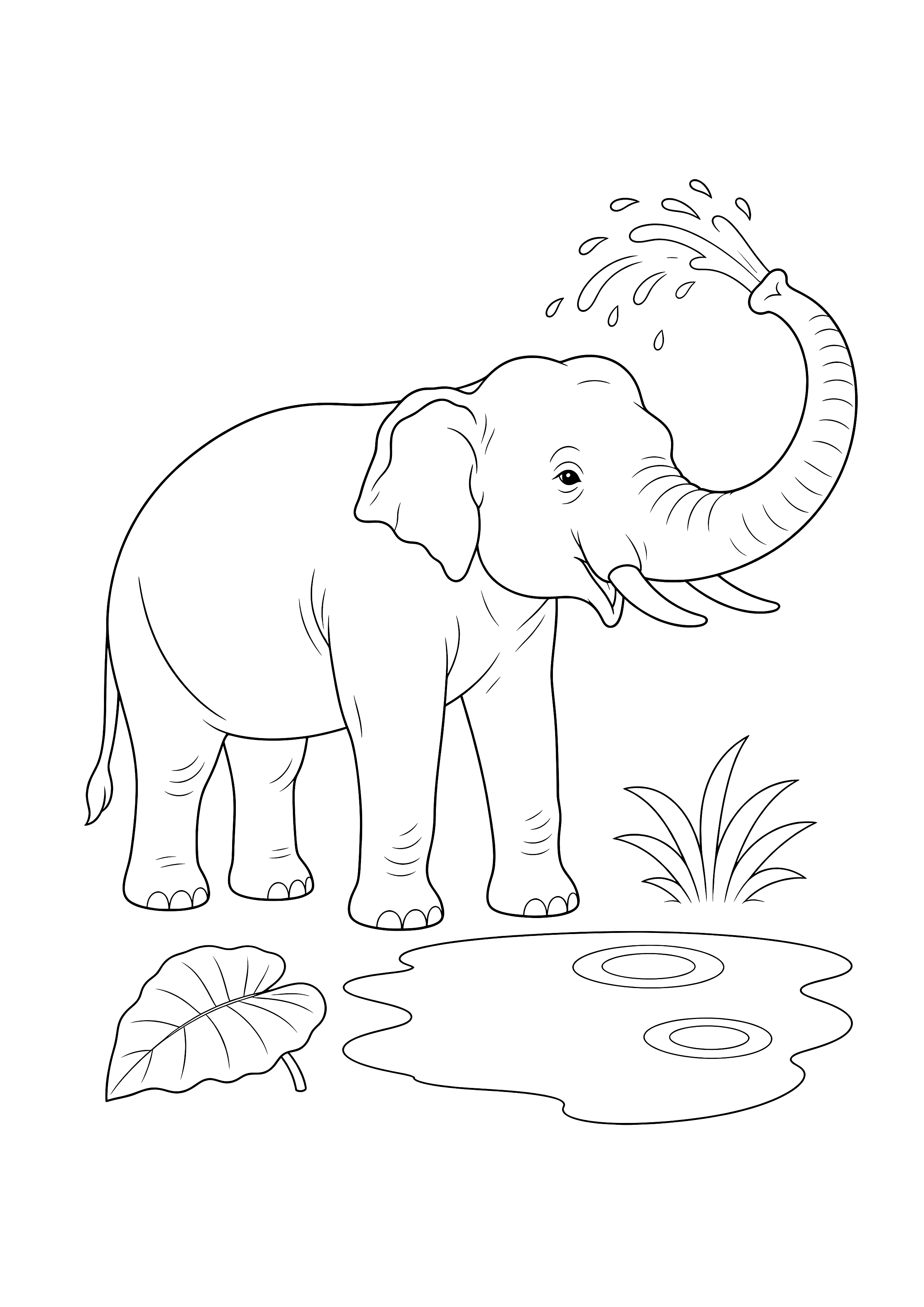 Elefant am Wasserloch — Ein Asiatischer Elefant spritzt mit seinem Rüssel Wasser neben einem kleinen Dschungelteich.