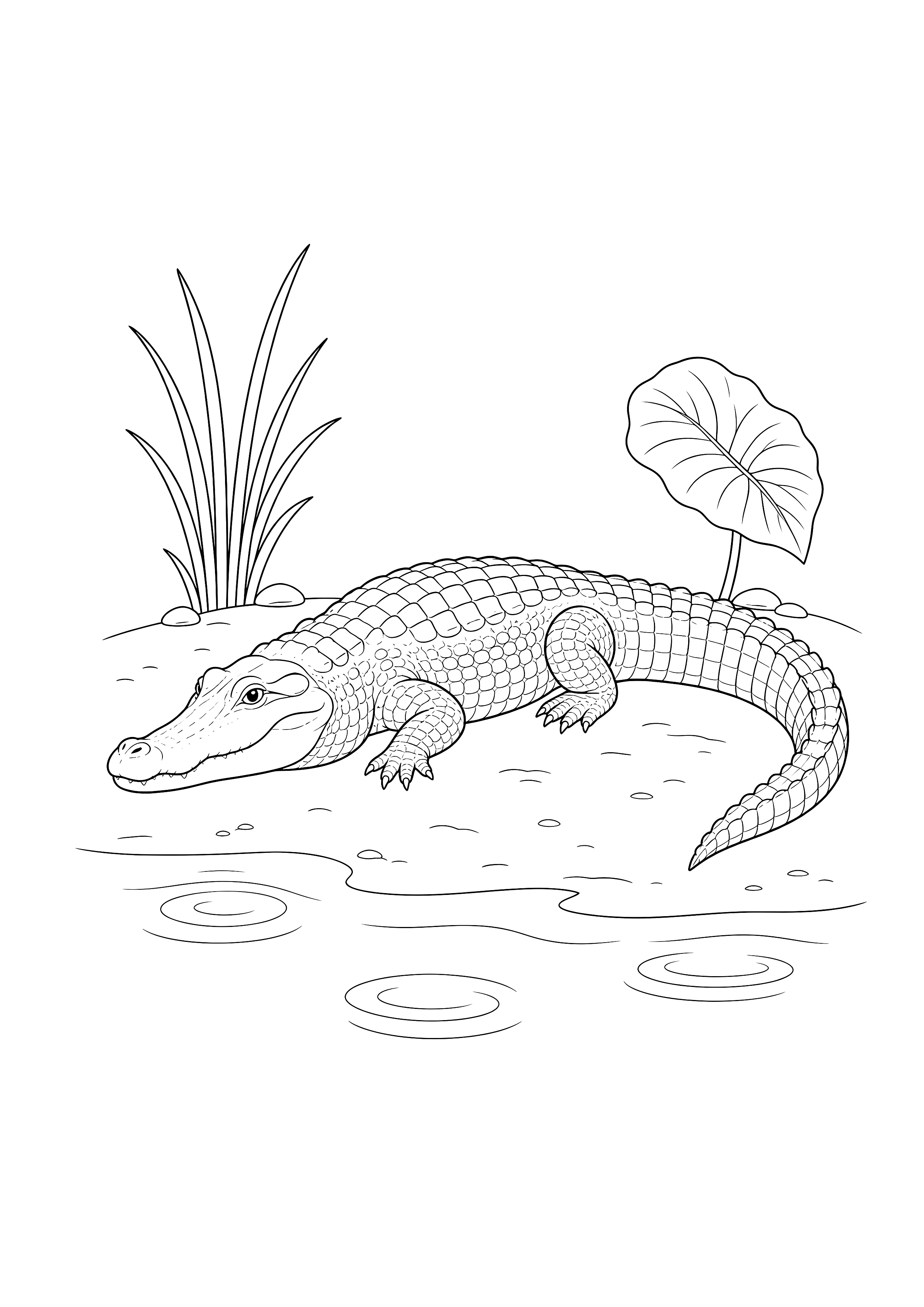 Krokodil am Flussufer — Ein Krokodil ruht zwischen Wasserkringeln und Uferpflanzen an einem Dschungelfluss.