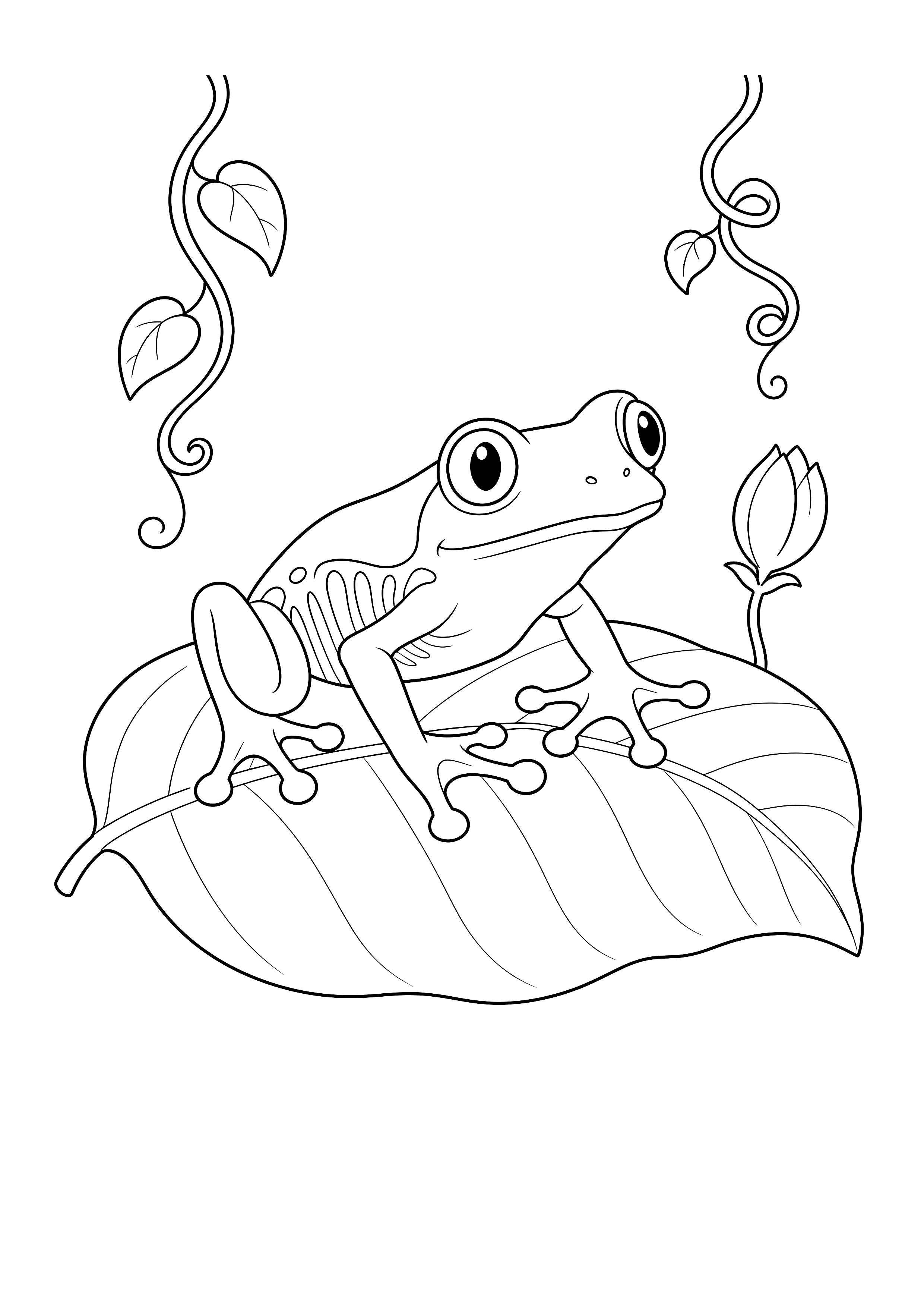 Baumfrosch auf einem Blatt — Ein Baumfrosch sitzt mit weit gespreizten Zehen auf einem großen Tropenblatt.