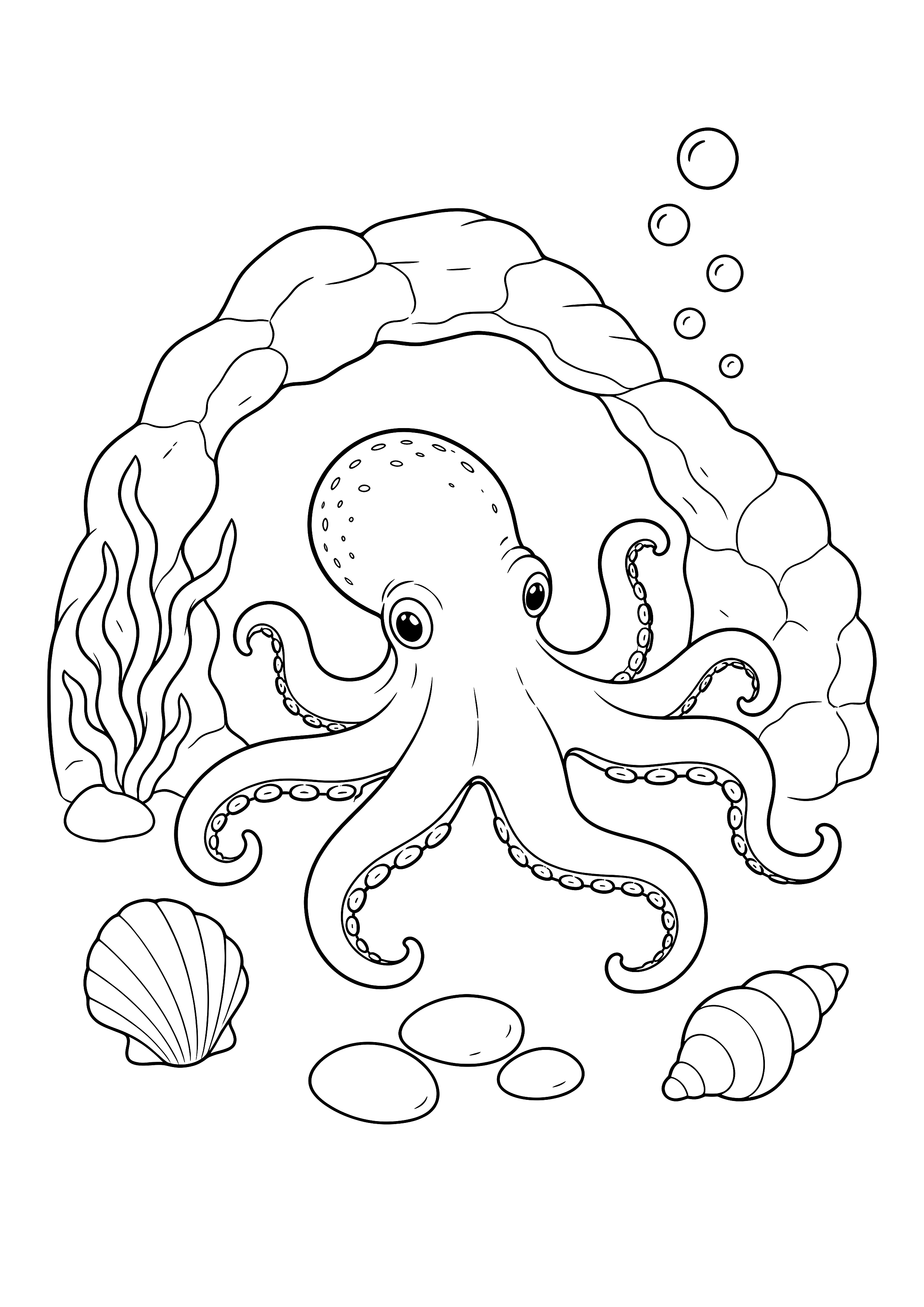 Oktopus in der Felsenhöhle — Ein Oktopus erkundet mit acht klaren Armen eine kleine Höhle im Gezeitenbecken.