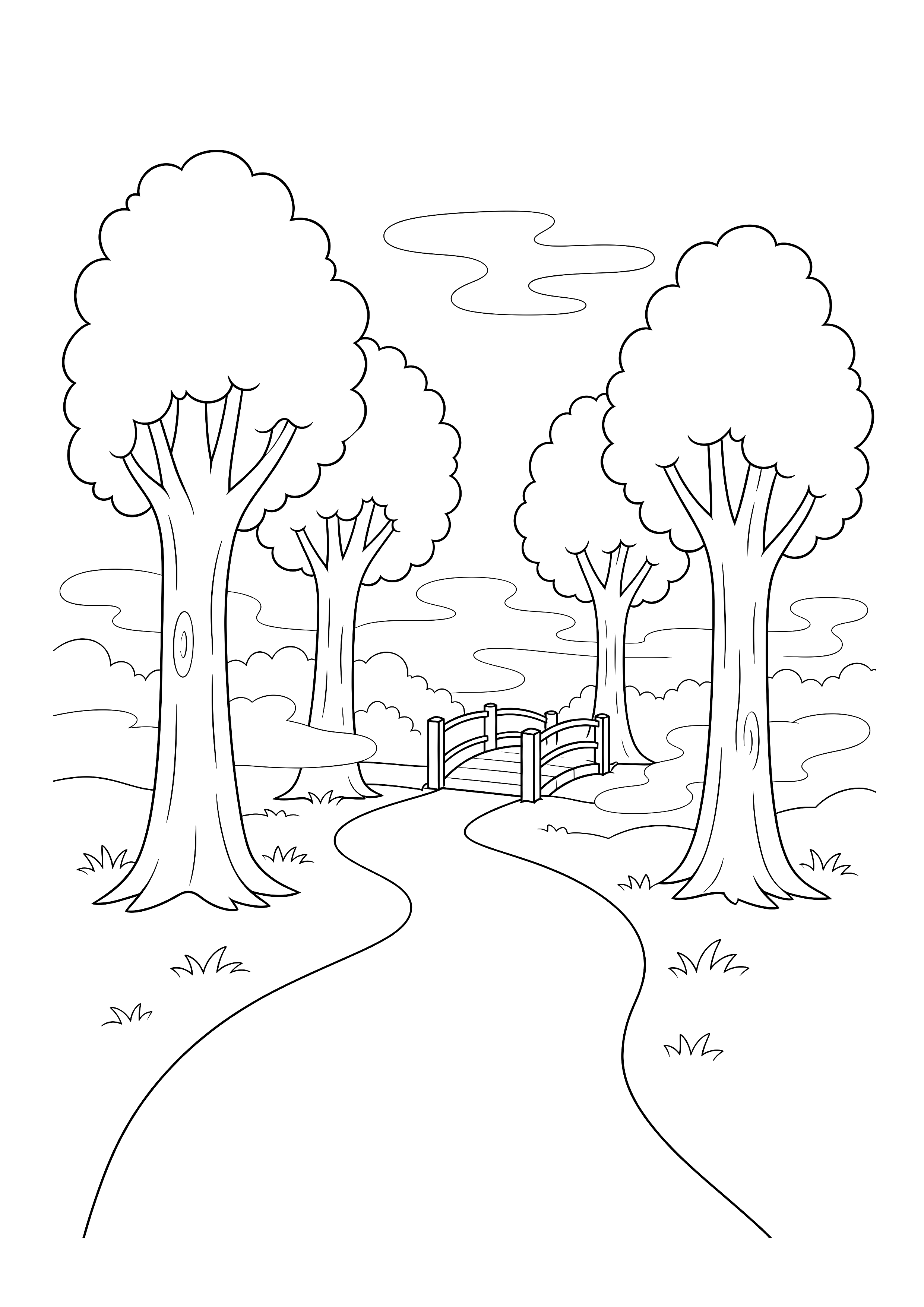 Nebeliger Waldweg Ausmalbild — Ein Weg führt im Morgennebel zwischen Bäumen zu einer Brücke.