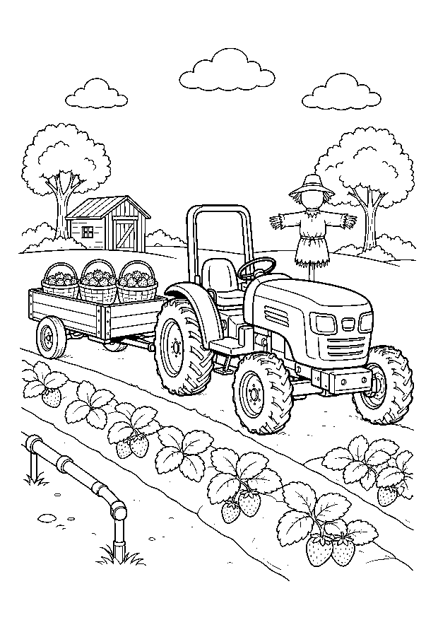 Traktor bei der Erdbeerernte — Ein kleiner Traktor zieht Körbe voller Erdbeeren an Beet, Bewässerung und Vogelscheuche vorbei.