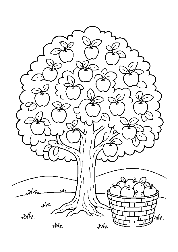 Apfelernte im Obstgarten — Ein voller Apfelbaum steht neben einem Korb mit reifen Früchten.