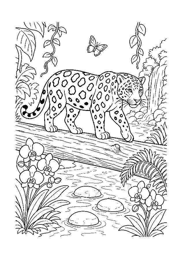 Jaguar auf dem Dschungelstamm — Ein Jaguar balanciert über einen gefallenen Baumstamm am Bach zwischen Orchideen, Farnen und Schmetterling.