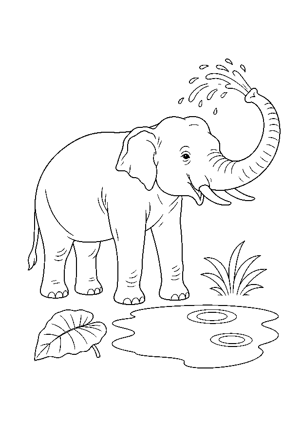 Elefant am Wasserloch — Ein Asiatischer Elefant spritzt mit seinem Rüssel Wasser neben einem kleinen Dschungelteich.