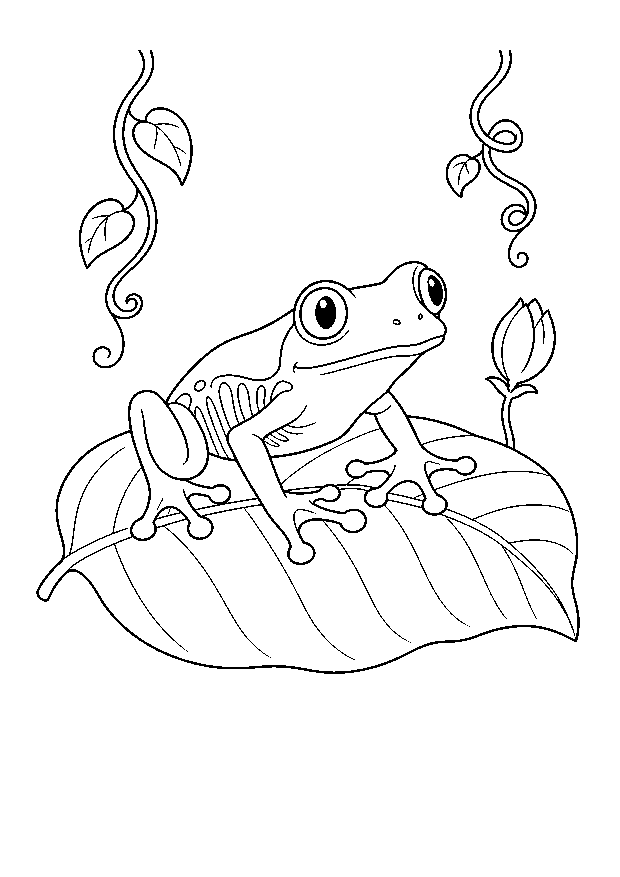 Baumfrosch auf einem Blatt — Ein Baumfrosch sitzt mit weit gespreizten Zehen auf einem großen Tropenblatt.