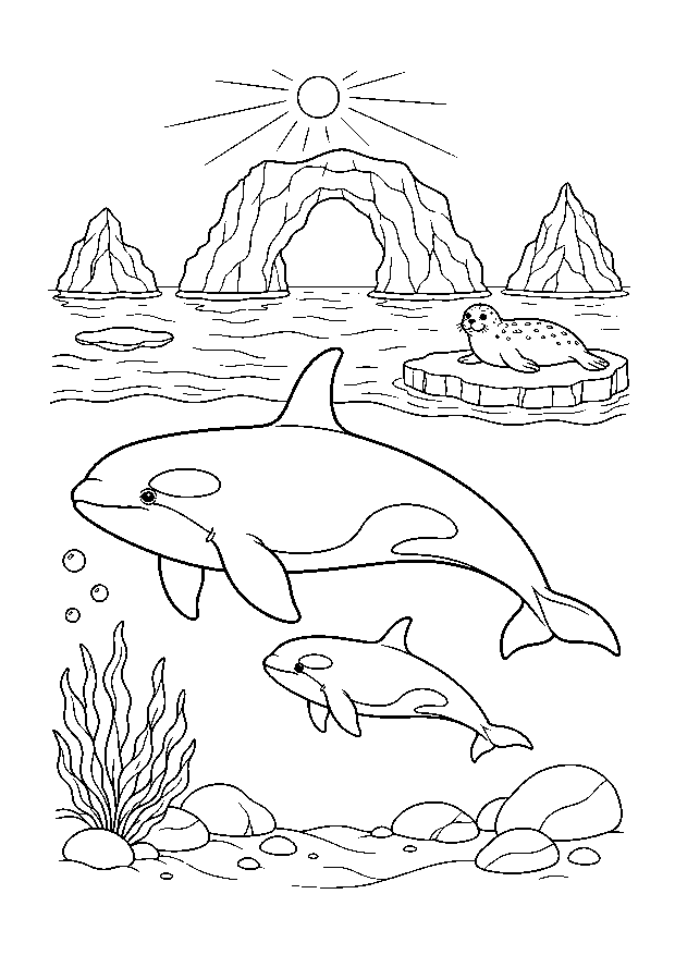 Orcafamilie am Eisbogentor — Ein Orca und sein Kalb schwimmen unter Robbe, Eisscholle und großem Felsbogen.