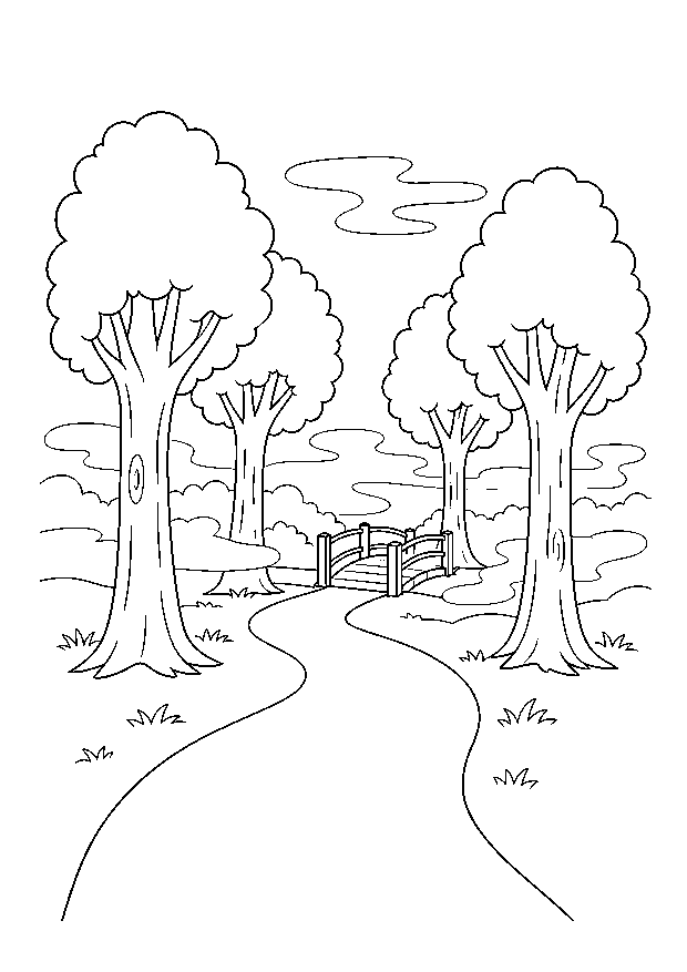Nebeliger Waldweg Ausmalbild — Ein Weg führt im Morgennebel zwischen Bäumen zu einer Brücke.